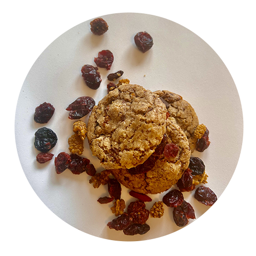 cookies cercle baies vegan